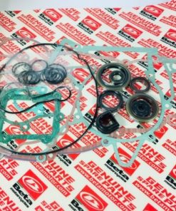 Set guarnizioni motore Beta RR 2t 250/300 036010108 200
