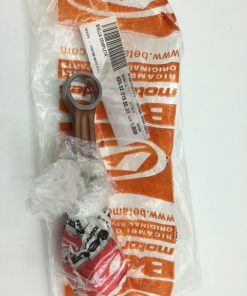 Biella completa Betamotor 026.02.019.80.00